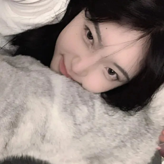 五月八月海报
